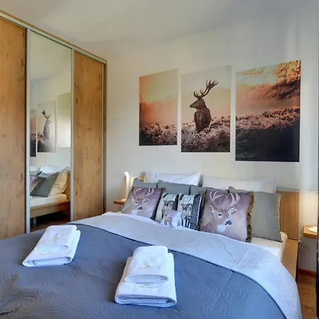 Pod Jeleniem 公寓 卡尔帕奇