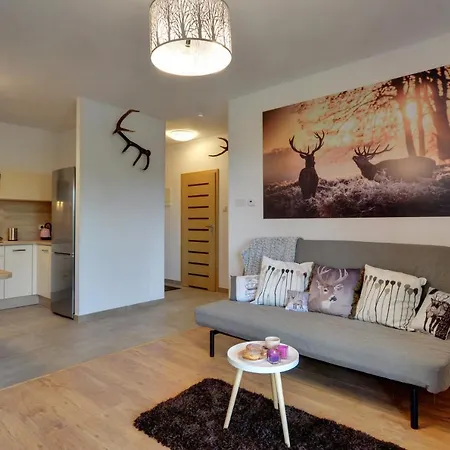 Pod Jeleniem 公寓 卡尔帕奇