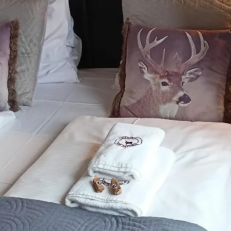 Pod Jeleniem Apartamento Karpacz